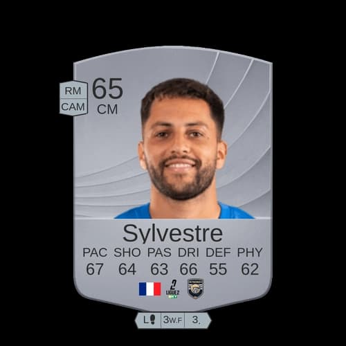 Sylvestre CM Common 65